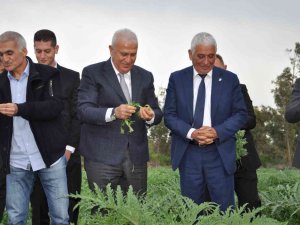 Başkan Atay Ve Beraberindeki Heyet, Kardeş Şehir Güzelyurt’ta İncelemelerde Bulundu
