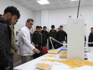 Diyarbakır’da Meslek Lisesi Öğrencileri Yem, Hububat Ve Un Analizi Yaptı