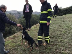 Uçuruma Düşen Köpeği İtfaiye Kurtardı