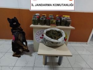 Uyuşturucuyu Cam Kavanoz Ve Plastik Bidonlarda Saklamışlar