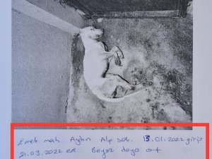 Skandal Görüntülere İlginç Savunma