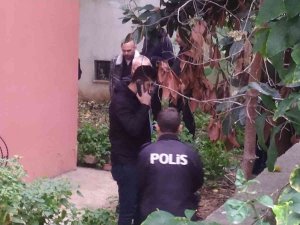 Bakırköy’de Tamir İçin Çıktığı Çatıdan Düşen Şahıs Hayatını Kaybetti