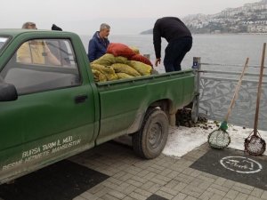 Kaçak Midye Avcılarına Operasyon