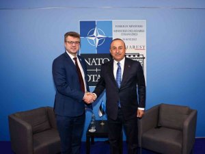 Dışişleri Bakanı Çavuşoğlu, Estonya Dışişleri Bakanı Reinsalu İle Görüştü
