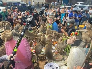 Tayland’da Maymun Festivali Düzenlendi