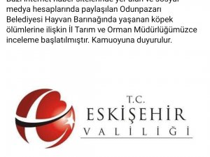 Odunpazarı Belediyesi’nin Hayvan Barınağındaki Vahşetle İlgili İnceleme