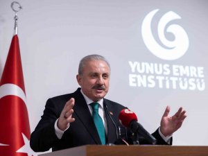 Tbmm Başkanı Şentop, Viyana’da Türk Sivil Toplum Kuruluşlarının Temsilcileriyle Görüştü