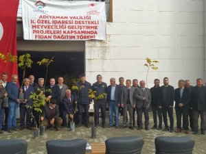 Çelikhan’da 2 Bin Adet Ceviz Fidanı Dağıtıldı