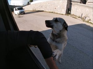 İ̇nsanın İçini Isıtan Buluşma