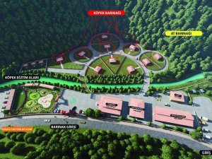 Başıboş Hayvanlar İçin Barınak Projesi Hazır