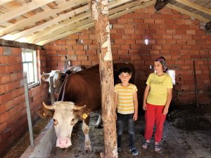 Kütahya’da Orman Köylüsüne 14 Milyon Tl Kredi Desteği