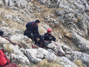 İ̇tfaiyeden 3 Saatlik Keçi Kurtarma Operasyonu