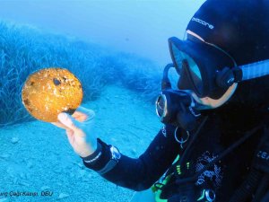 Muğla’nın ‘Mavi Miras’ı Gün Yüzüne Çıkıyor