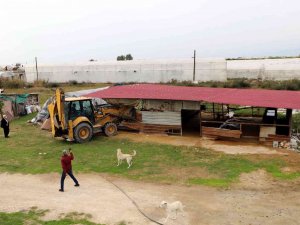 Akdeniz Belediyesi Kaçak Yapıları Yıktı