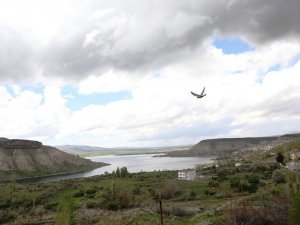 Başkan Çolakbayrakdar; “Dünya’da, Termal Turizmin Yeni Adresi Bayramhacı Olacak”
