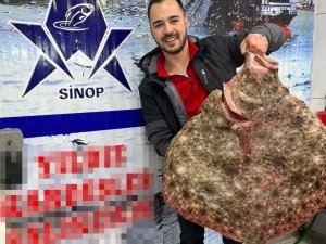 Karadeniz’de Avlanan Dev Kalkan Balığı 6 Bin Tl’ye Satıldı