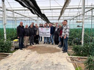 "İ̇yi Tarım Has Ürün" Projesi Teknik Gezisi Gerçekleştirildi