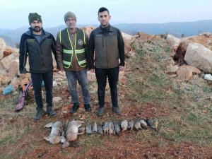 Koruma Altındaki Oklu Kirpiyi Öldüren Şahsa Ve Kaçak Avlanan 11 Kişiye Para Cezası