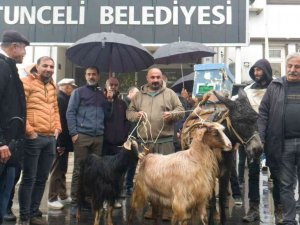 Köylüler Belediye Önüne Eşek, Keçi Ve Arılar İle Gelip Tepki Gösterdi