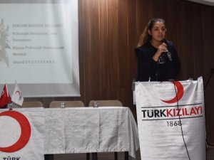 Kızılay’dan ’Kadına Şiddet Ve Çocuk İstismarına Hayır’ Konferansı