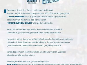 Bandırma’da Bir Mahalle Kuduz Şüphesi Nedeniyle Karantinaya Alındı