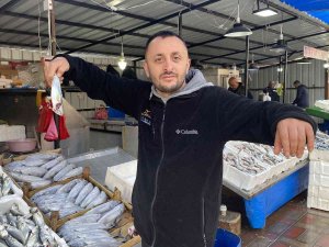 Balıkçıların Yüzü Hamsiyle Güldü