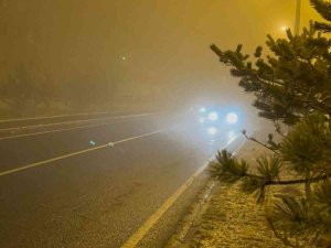 Sarıkamış’ta Yoğun Sis Hayatı Olumsuz Etkiledi