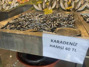 Denizlerde Balık Bolluğu, Hamsi 80 Liradan 40’a Düştü