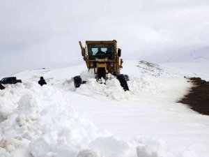 Kar Kaplanlarının Kış Mesaisi Başladı