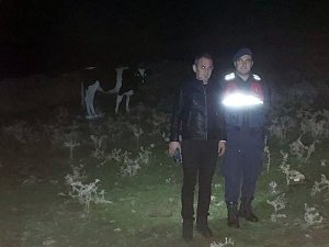 Kayıp Hayvanları Jandarma Ekipleri Bularak Sahibine Teslim Etti