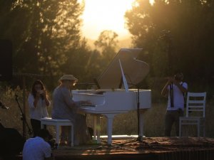 Kültür Harcamaları Yüzde 31,8 Arttı