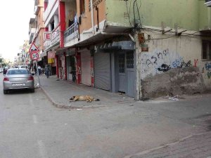 Motosikletli Polis Aracına Çarptı, Sürücünün Havalanıp Düşme Anı Kameraya Yansıdı