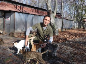 Bin 500 Kedi-köpek Burada Barınıyor