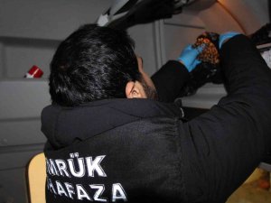 Kapıkule’de Kaçakçılık Operasyonu: 1 Milyon Liralık Kaçak Trüf Mantarı Ve Kehribar Ele Geçirildi