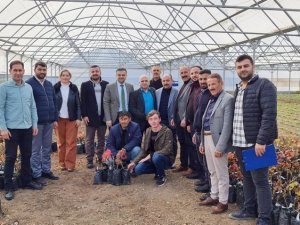 Demir: "Son 3 Yılda 11 Bin 456 Çiftçiye Destek Verdik"