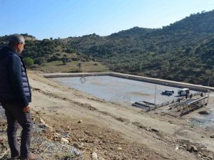 Koçarlı’da Deve Güreşi Hazırlıkları Tamamlandı