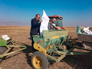 Eskişehir’de 44 Çeşit Yerli Ve Milli Tohum Yeşerecek
