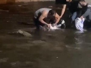 Nehirde Sular Çekildi, Dev Yayın Balıklarını Elleriyle Yakaladılar