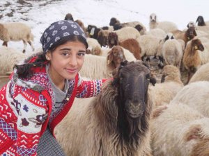 Huzur Ortamı Sağlanan Şırnak Yaylalarında, 13 Yaşındaki Kız Çocuğu Hayatını Hayvanlara Adadı