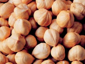 Her Gün Bir Avuç Fındık Kanserden Koruyor