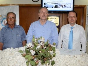 Pamukta Üretim Artışı Zamma Bağlı