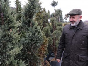 Kocasinan’da Herkesin Dikili Bir Ağacı Olacak