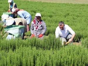Tarıma Katkı Sağlayacak İş Birliği