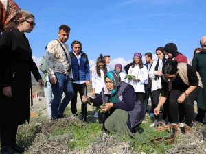 Üniversite Öğrencilerine Geleneksel Tarım Ve Yenebilir Otlar Öğretildi