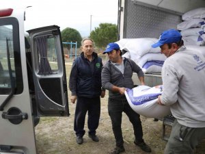 Aydın Büyükşehir Belediyesi’nden Küçük Aile İşletmelerine Yem Desteği