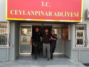 Eşine Kalkan Olmak İsteyen Polise Saldırdı