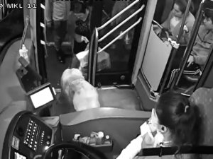 Yağmurdan Kaçarak Halk Otobüsüne Sığınan Köpek Yolcularla Seyahat Etti