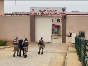 18 Yıl Kesinleşmiş Cezası Bulunan Firariyi Jandarma Yakaladı