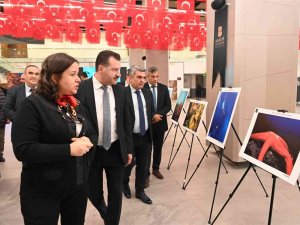 Türkiye’nin En Büyük Su Altı Fotoğraf Sergisi Balıkesir’de