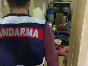 Jandarmadan Kaçak Tütün Operasyonu